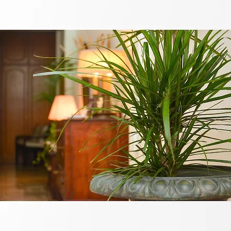 Bed and breakfast Il Viandante Roma
